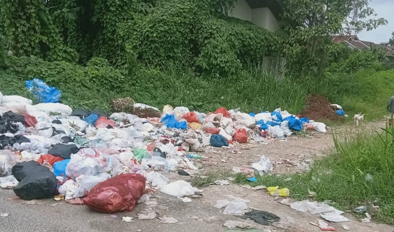 Tumpukan sampah di belakang eks terminal pasar lumpur dibuang begitu saja. Setiap hari, oknum warga membuang sampah di area ini, Selasa (6/1/2026).
