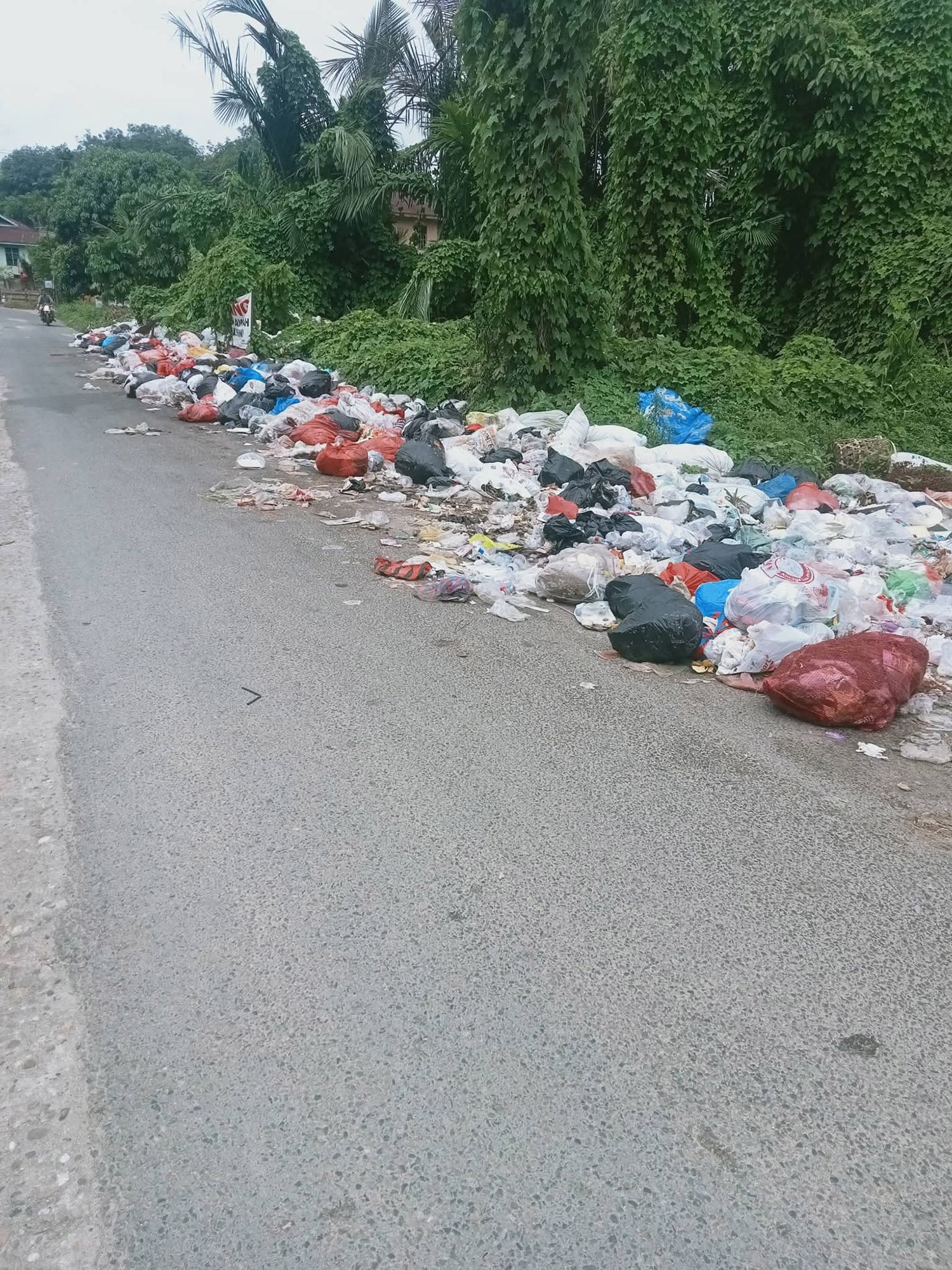 Tumpukan sampah di belakang eks terminal Pasar Lumpur dibuang begitu saja. Setiap hari, oknum warga membuang sampah di area ini. Foto diambil Selasa (6/1/2026).