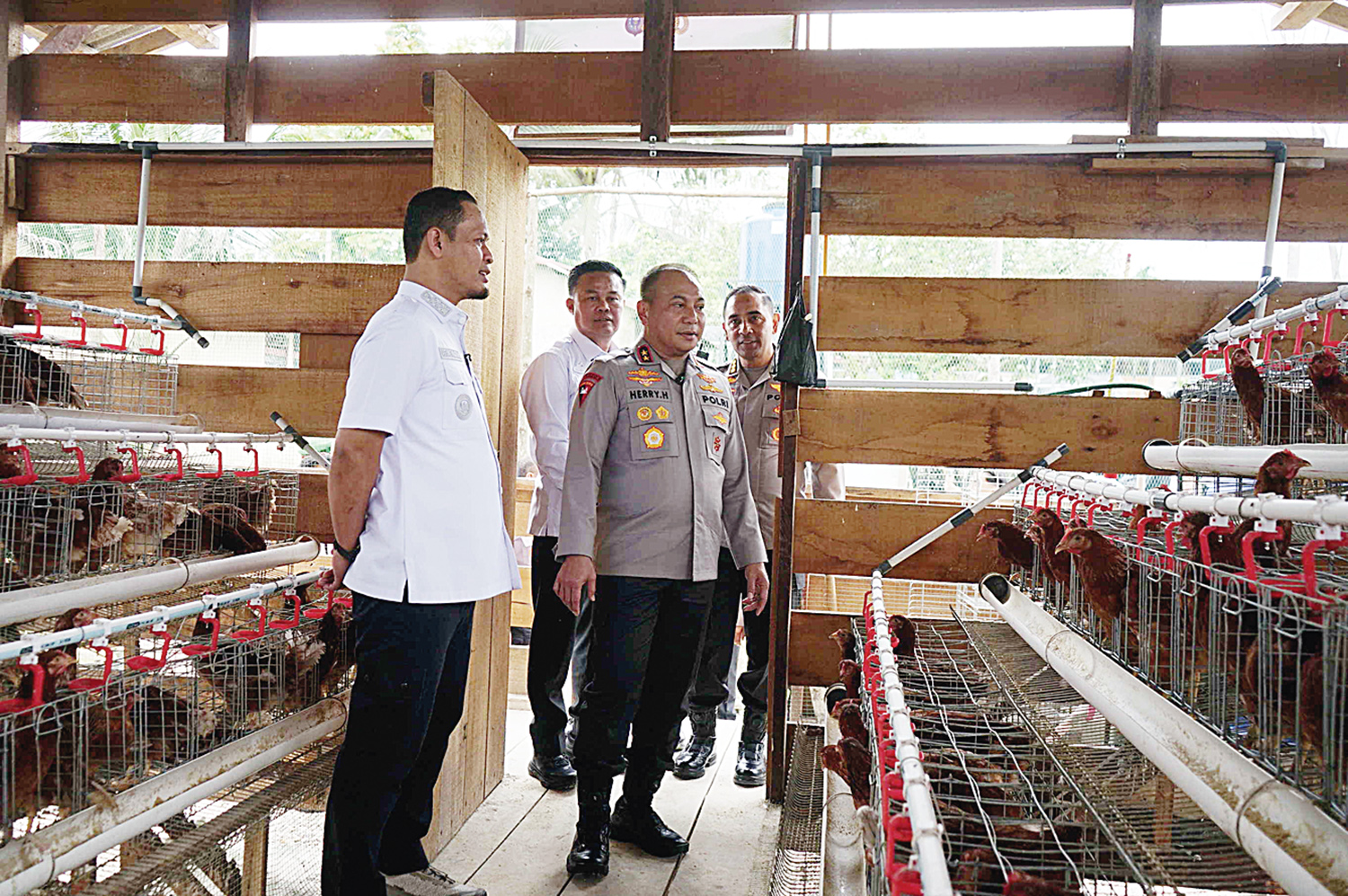 Kapolda Riau Irjen Pol Herry Heryawan bersama Wali Kota Pekanbaru Agung Nugroho meninjau tempat peternakan ayam di kawasan Tabung Harmoni Hijau Polda Riau di Jalan Limbungan, Pekanbaru, Rabu (7/1/2026).