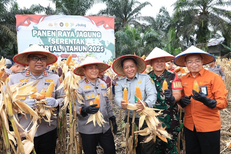 Kapolda Riau Irjen Pol Herry Heryawan (dua dari kiri) menunjukan jagung hasil panen raya, Kamis (8/1/2026).