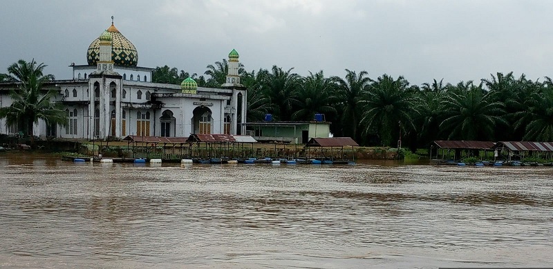 Air Sungai Kampar di Desa Buluh Cina, Kecamatan Siak Hulu, Kabupaten Kampar, terus mengalami kenaikan, Jumat (9/1/2025).