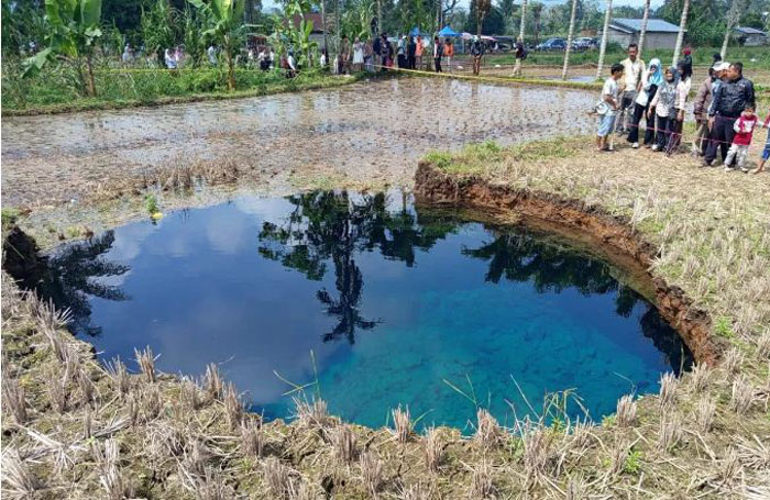 Sinkhole atau lubang amblas yang mendadak muncul di wilayah Situjuah Batua, Kabupaten Lima Puluh Kota, Sumbar.