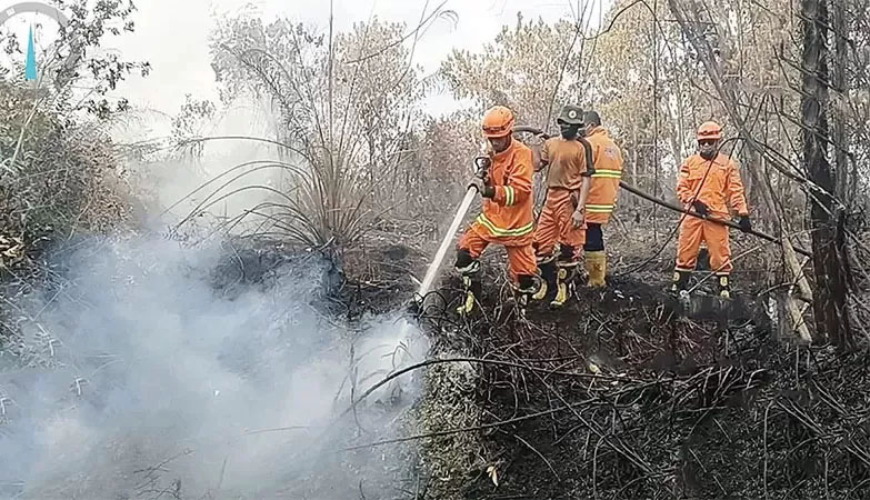 Tim gabungan melakukan pendinginan pada lahan yang terbakar di Desa Karya Indah, Kecamatan Tapung, Kabupaten Kampar, beberapa waktu lalu.
