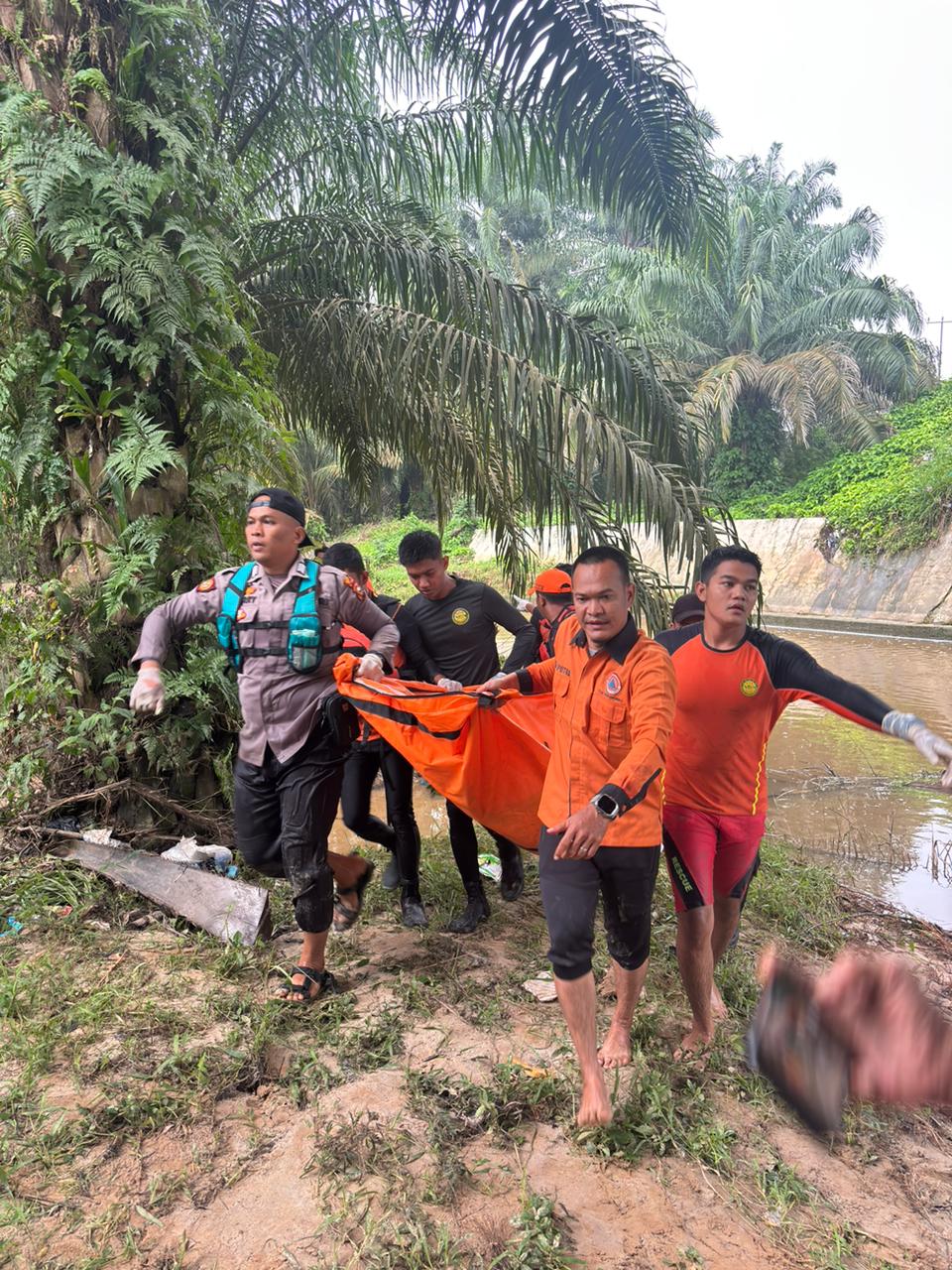 Tim Gabungan dari Basarnas Pekanbaru, BPBD Rohul, Polri melakukan evakuasi jasad korban El Mahesa Pramana (8) yang ditemukan dekat pohon sawit di bawah Jembatan ngaso.