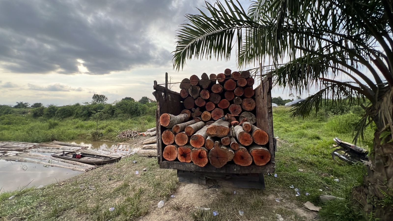 Polsek Langgam mengamankan ratusan batang kayu Belanti dan Gedabuh di KM 24 Jalan Koridor RAPP, Kelurahan Langgam, Kecamatan Langgam, Kabupaten Pelalawan, Sabtu (10/1/2026) sore.