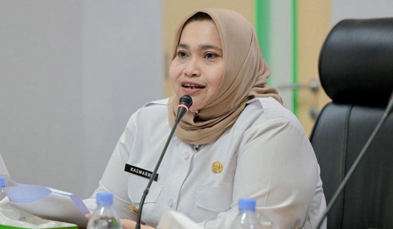 Bupati Bengkalis, Kasmarni