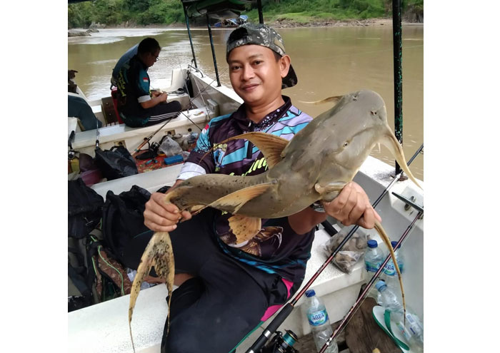 Ketua Panitia Mancing Mania Kuansing, Phedy Bento