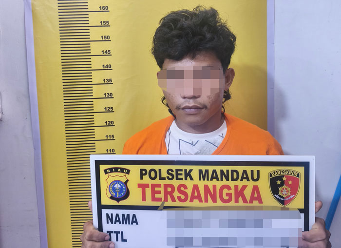 Satu di antara tersangka pengeroyokan yang terjadi di perkebunan Kerjasama Operasi (KSO) PT Agrinas  di Desa Pamesi Kecamatan Bathin Solapan Bengkalis ditahan di Polsek Mandau, Senin (19/1/2026)