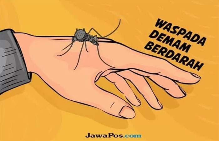 Ilustrasi DBD.