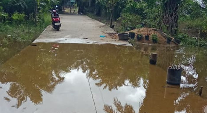 Kondisi banjir yang menggenangi badan jalan di Dusun Muara Sako, Kelurahan Langgam, Kecamatan Langgam surut, Selasa (20/1/2026).