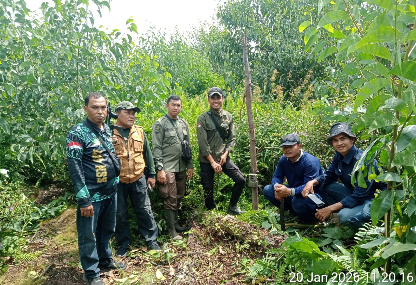 Kepala BBKSDA Riau Supartono mengatakan, tim telah turun ke lokasi kemunculan satwa harimau. Laporan dari lapangan, memang ditemukan jejak dan tanda yang berasal dari seekor induk dan dua anak
