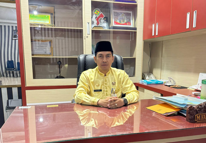Kepala Disperindagsar Rohil M Fauzi.