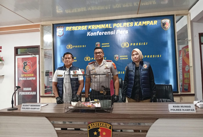 Kapolres Kampar AKBP Boby Putra Ramadhan S  saat menggelar konferensi pers pengungkapan kasus kejahatan terhadap satwa dilindungi di Mapolres Kampar, Senin (26/1/2026).