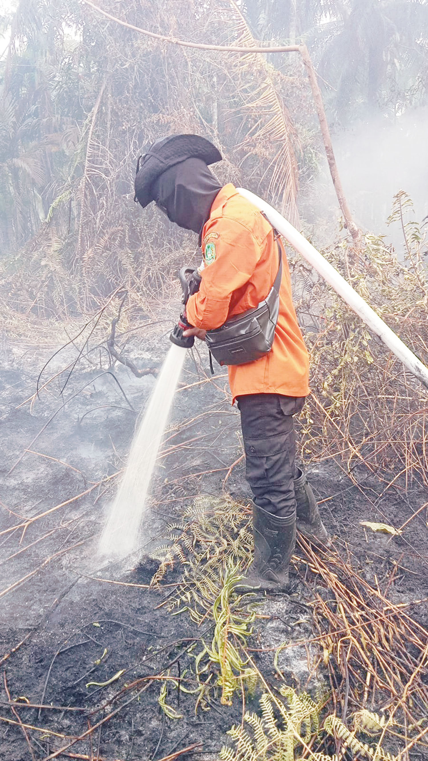 Personel BPBD Kepulauan Meranti melakukan pendinginan pada lahan yang terbakar di Dusun Parit Senang, Desa Kedabu Rapat, Kecamatan Rangsang Pesisir, Ahad (25/1/2026).