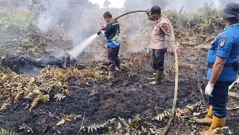 Personel gabungan Polres dan Damkar Pelalawan memadamkan titik api karhutla di Dusun Tanjung Raya Kelurahan Pangkalan Kerinci Timur, Kecamatan Pangkalan Kerinci, Selasa (27/1/2026).