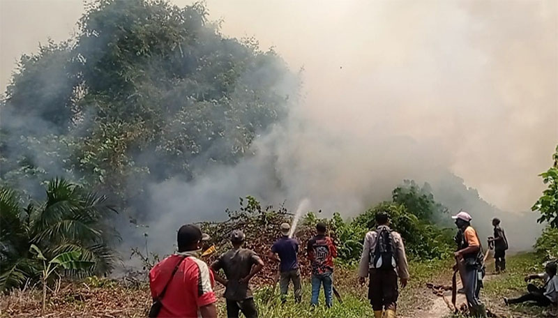 Petugas gabungan berjibaku memadamkan api karhutla di Desa Sukarjo Mesim Kecamatan Rupat pada, Selasa (27/1/2026).