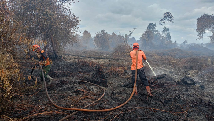 TRC BPBD Inhil berjibaku melakukan pemadaman kebakaran hutan dan lahan di Desa Simpang Gaung, Kecamatan Gaung, Kabupaten Inhil, Rabu (28/1/2026).