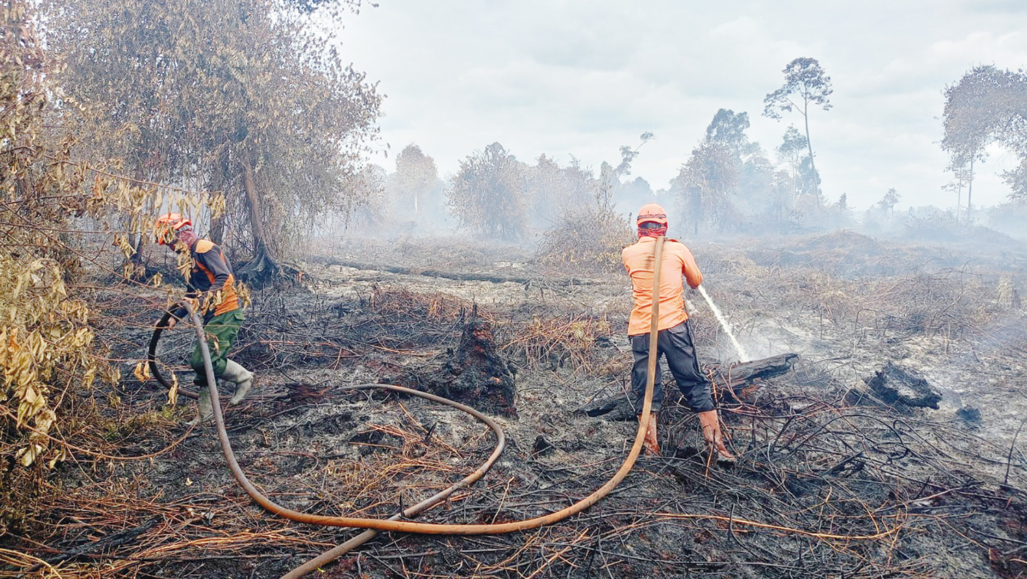 Tim Reaksi Cepat BPBD Indragiri Hilir berjibaku memadamkan api yang membakar hutan di Desa Simpang Gaung, Kecamatan Gaung, Rabu (28/1/2026).