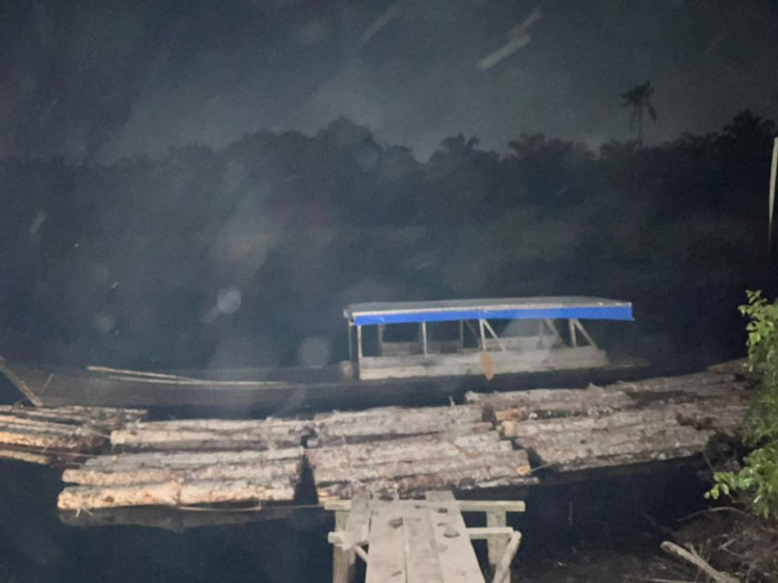 Tim Opsnal Unit Tipidter Satreskrim Polres Bengkalis mengamankan 8 ton kayu mahang hasil ilegal loging di Desa Sungai Nibung, Kecamatan Siak Kecil, Bengkalis, Jumat (30/1/2026).
