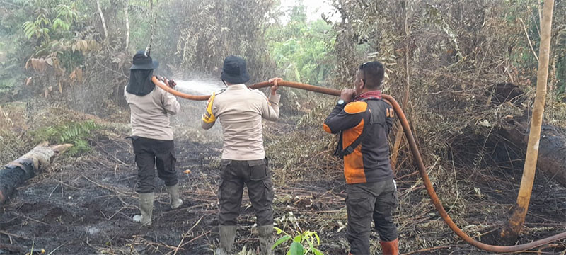 Petugas gabungan melakukan pemadaman dan pendinginan karhutla di Desa Simpang Jaya, Kecamatan Batang Tuaka, Kabupaten Inhil, Selasa (3/2/2026).