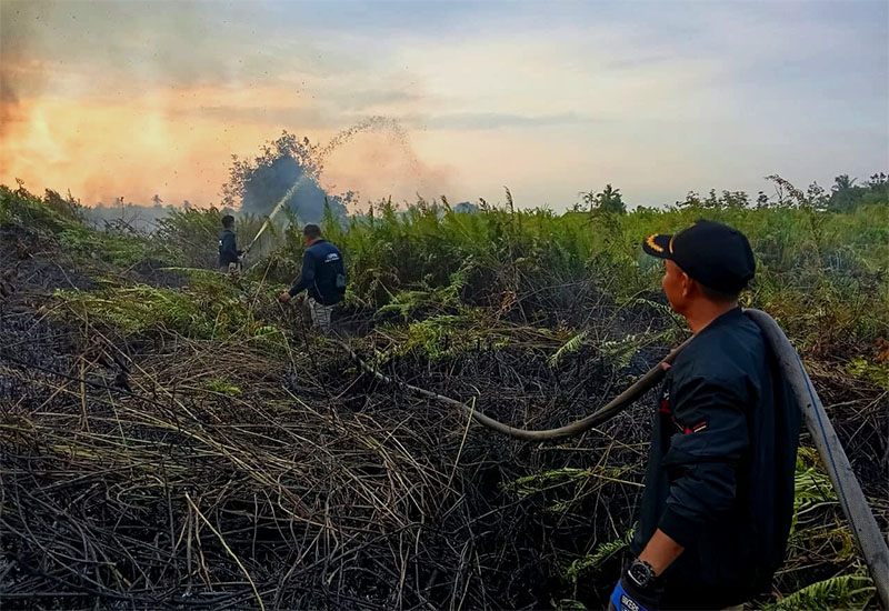 Petugas pemadam menanggulangi karhutla di Desa Renak Dungun Pulau Merbau Kepulauan Meranti, Selasa (3/2/2026) pagi.