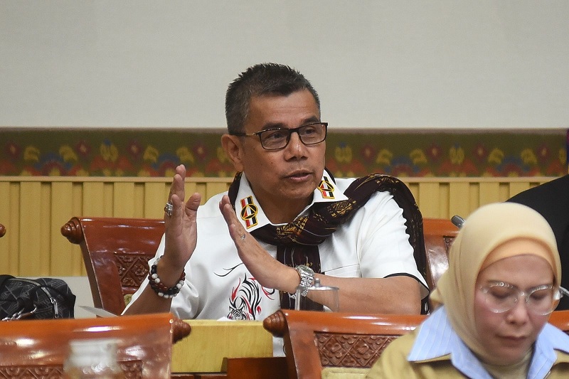 Anggota Komisi III DPR RI, Hinca Pandjaitan.