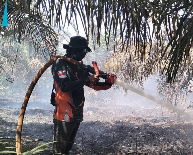 Kecamatan Bandar Laksamana terdapat dua titik api yang masih menyala dan sampai sore ini petugas masih berupaya memadamkan api.