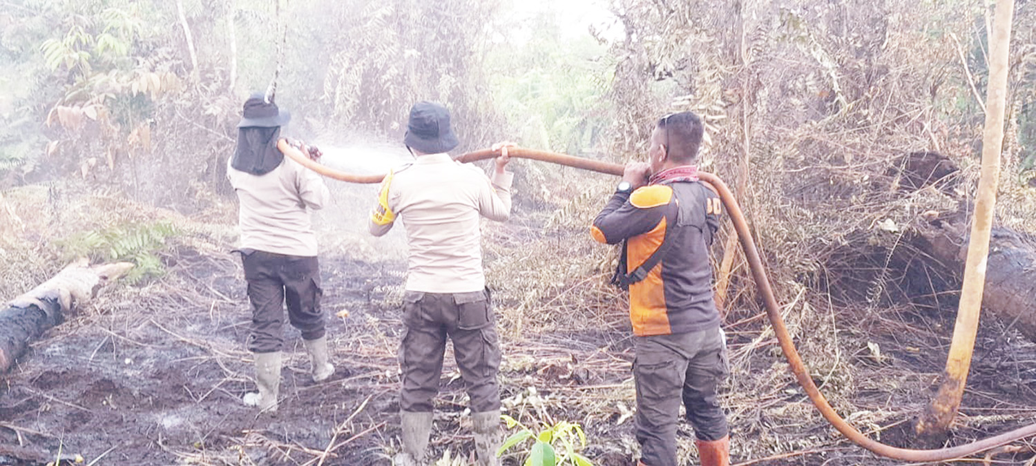 Petugas gabungan berjibaku memadamkan api yang membakar lahan di Desa Simpang Jaya, Kecamatan Batang Tuaka, Kabupaten Indragiri Hilir, Selasa (3/2/2026).