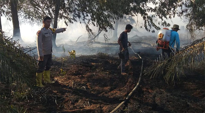 Tim sedang melakukan pendinginan kebakaran 1 hektare lahan gambut di Desa Benayah, Kecamatan Pusako, Kabupaten Siak, Rabu (4/2/2026).