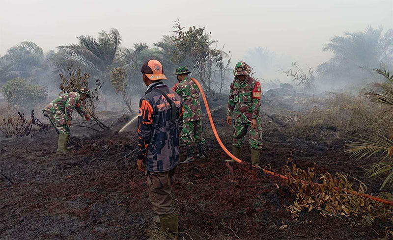 Tim pemadam Karhutla berjibaku memadamkan api yang membakar lahan di Jalan Majapahit, Dusun Sejati, Desa Sepahat, Kecamatan Bandar Laksamana, Kabupaten Bengkalis, Rabu (4/2/2026).