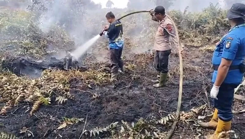 Petugas gabungan melakukan pendinginan di lahan yang terbakar, belum lama ini