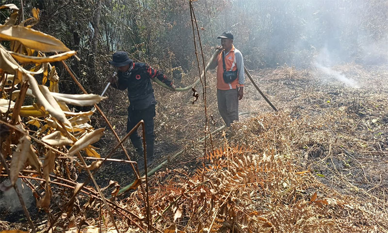 Tim gabungan melakukan pemadaman api karhutla di Desa Sungai Upih Kecamatan Kuala Kampar yang semakin meluas dampak karhutla, Kamis (5/2/2026).