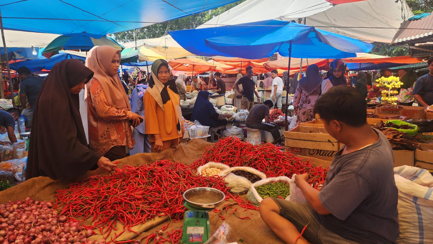 Pembeli memilih cabai di Pasar Bangkinang, Kabupaten Kampar, Rabu (4/2/2026). Menjelang datangnya bulan suci Ramadan, harga sejumlah komoditas pangan mulai merangkak naik.