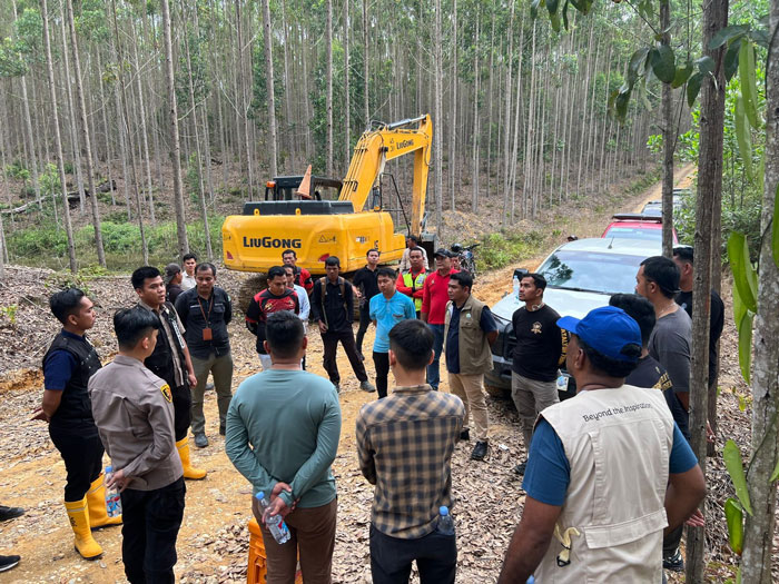 Manajemen PT RAPP menegaskan telah berkoordinasi dengan pihak berwenang dan dukung penuh proses investigasi terkait temuan gajah mati di area sekitar konsesi PT RAPP Distrik Ukui.
