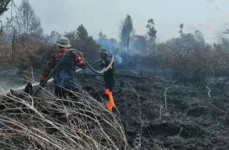 Tim BPBD tengah melakukan pendinginan di salah satu titik karhutla Riau, belum lama ini.