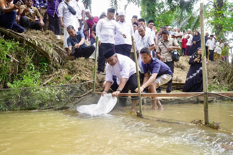 Bupati Rohul Anton ST MM menabur bibit ikan di kawasan lubuk larangan di Surau Suluk Al-Muqorrobah, Desa Kabun, Kecamatan Kabun, Sabtu (7/2/2026).