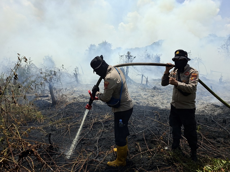 Personel Polres Pelalawan melakukan pendinginan karhutla di Desa Sungai Upih Kecamatan Kuala Kampar yang telah mulai terkendali, Ahad (8/2/2026).