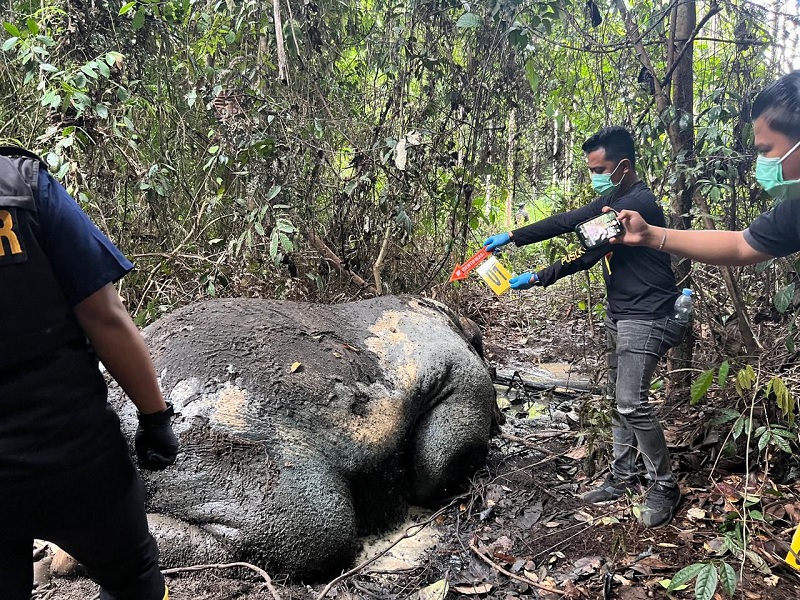 Penyidik Polda Riau saat berada di lokasi.