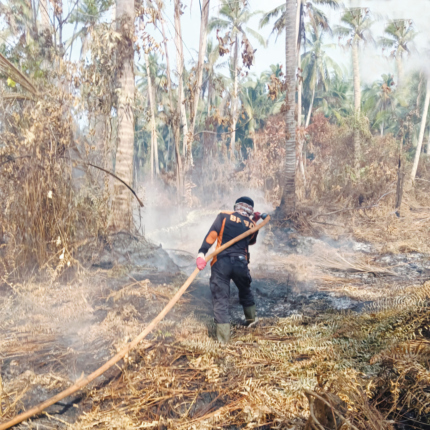Personel Badan Penanggulangan Bencana Daerah Indragiri Hilir sedang melakukan pemadaman terhadap lahan yang terbakar di Dusun Siagas Jaya, Desa Belantaraya, Kecamatan Gaung, Selasa (10/2/2026).