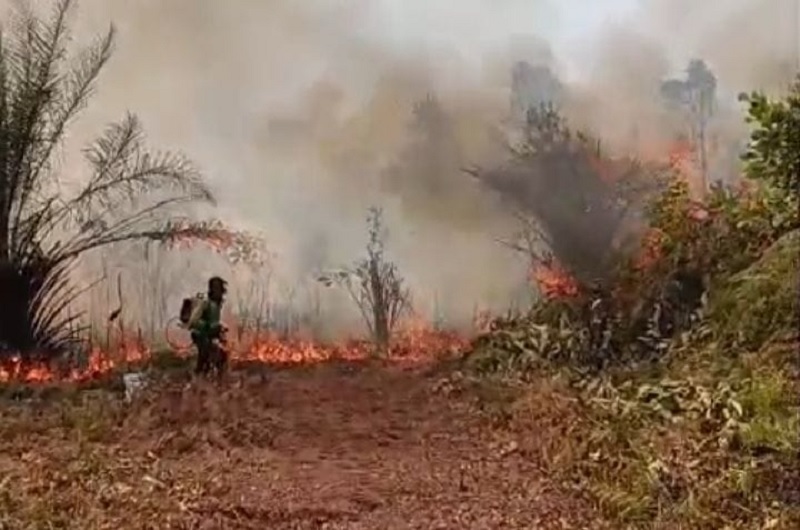 Seorang warga sedang memadamkan api menggunakan pom air gendong sederhana di Desa Damai, Kecamatan Bengkalis, Riau, Selasa (10/2/2026) sore.