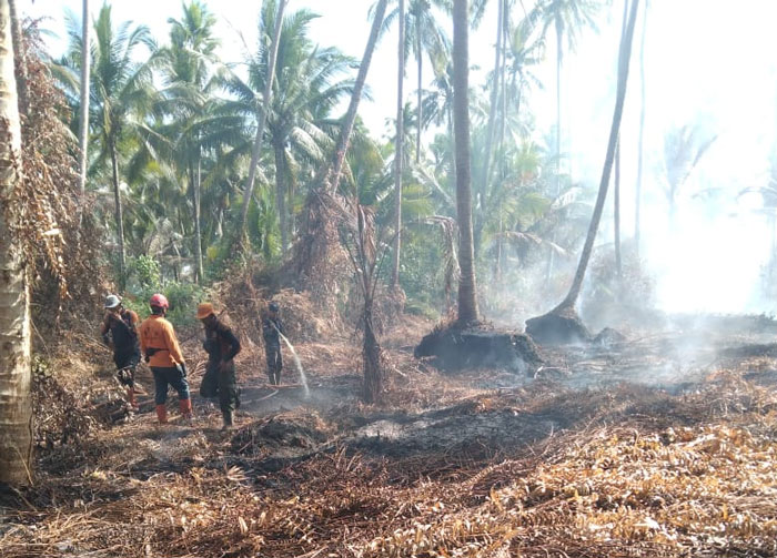 Personel gabungan BPBD, TNI, Polri melakukan pemadaman karhutla di Jalan Pekan Arba, Keluarahan Pekan Arba, Kecamatan Tembilahan, Rabu (11/2/2026).