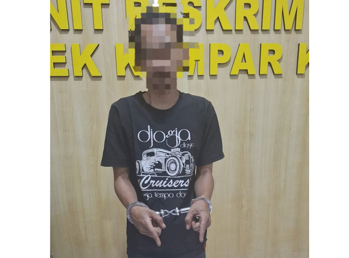 Pria berinisial DI (25) yang ditangkap jajaran Polsek Kampar Kiri karena terlibat peredaran narkoba, Ahad (8/2/2026).