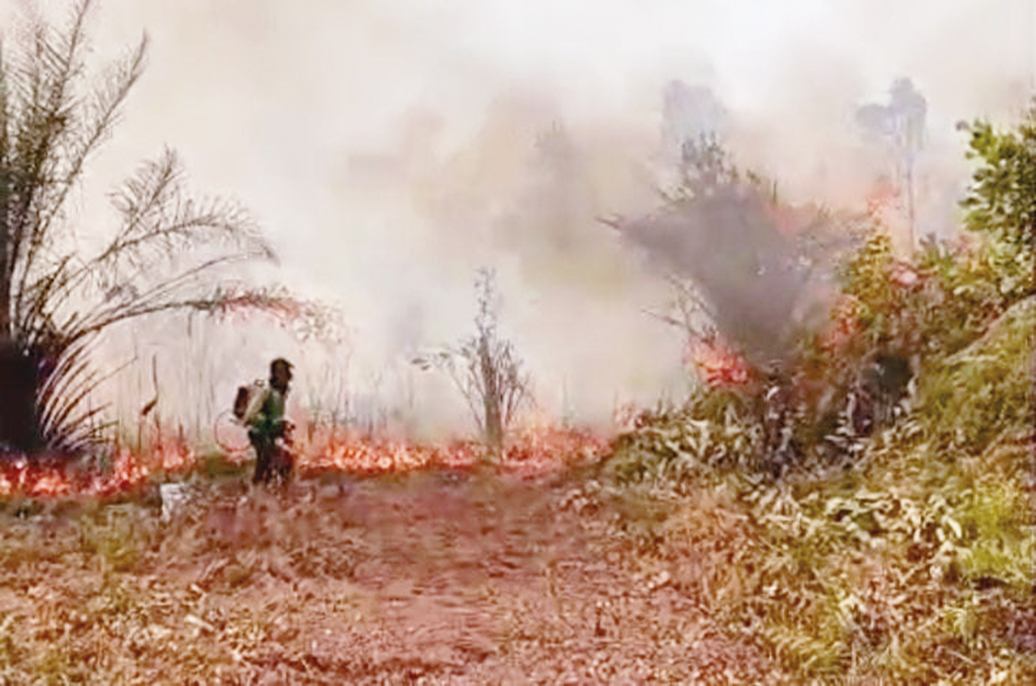 Seorang warga menggunakan pompa air gendong sederhana saat membantu memadamkan api di Desa Damai, Kecamatan Bengkalis, Kabupaten Bengkalis, Selasa (10/2/2026).