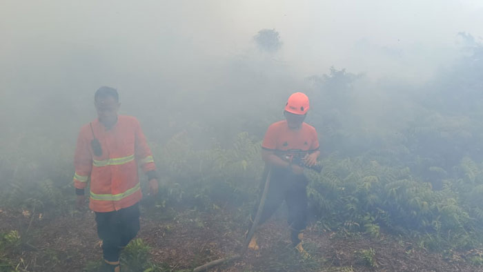 Satgas TRC BPBD Kampar bersama TNI, Polri, Manggala Agni, dan masyarakat setempat melakukan  pemadaman kebakaran lahan di Desa Rimbo Panjang, Kecamatan Tambang, Kampar, Kamis (12/2/2026).