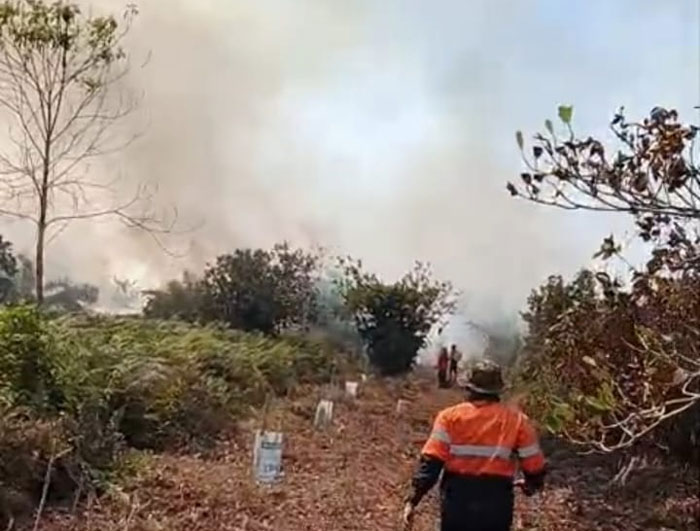 Kebakaran lahan di Desa Damai, Kecamatan Bengkalis makin membesar akibat tiupan angin kencang dan lahan gambut yang kering, Kamis (12/2/2026).
