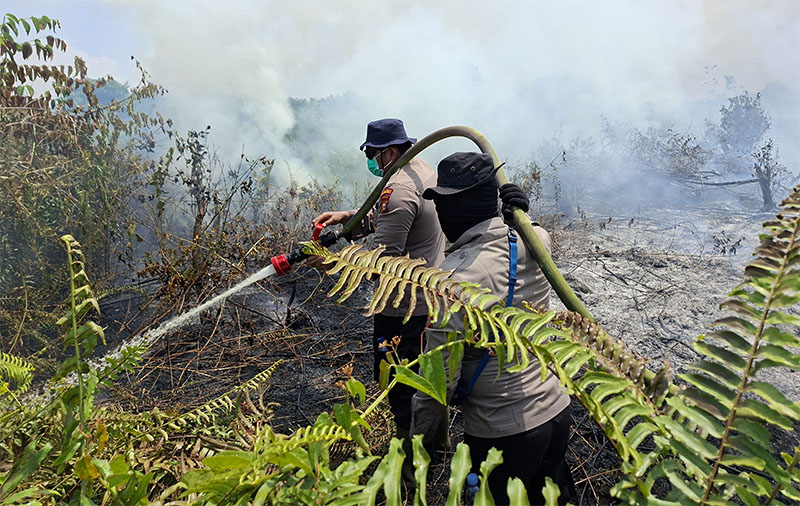 Petugas memadamkan karhutl di Riau belum lama ini.