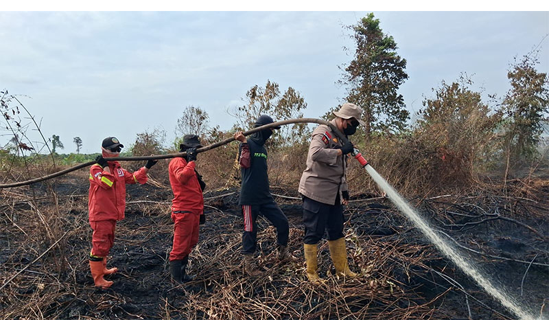Kapolsek Rupat AKP Faisal bersama tim gabungan masih berjibaku memadamkan dan mendinginkan api pasca Karhutla di Desa Sukarjo Mesim, Kecamatan Rupat, Sabtu (14/2/2026).