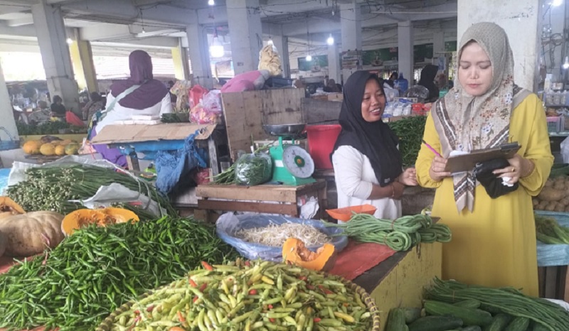 Petugas pada Disperindagkop UKM Kabupaten Inhu saat mendata harga Bapok di Pasar Rakyat Kota Rengat, Sabtu (14/2/2026)