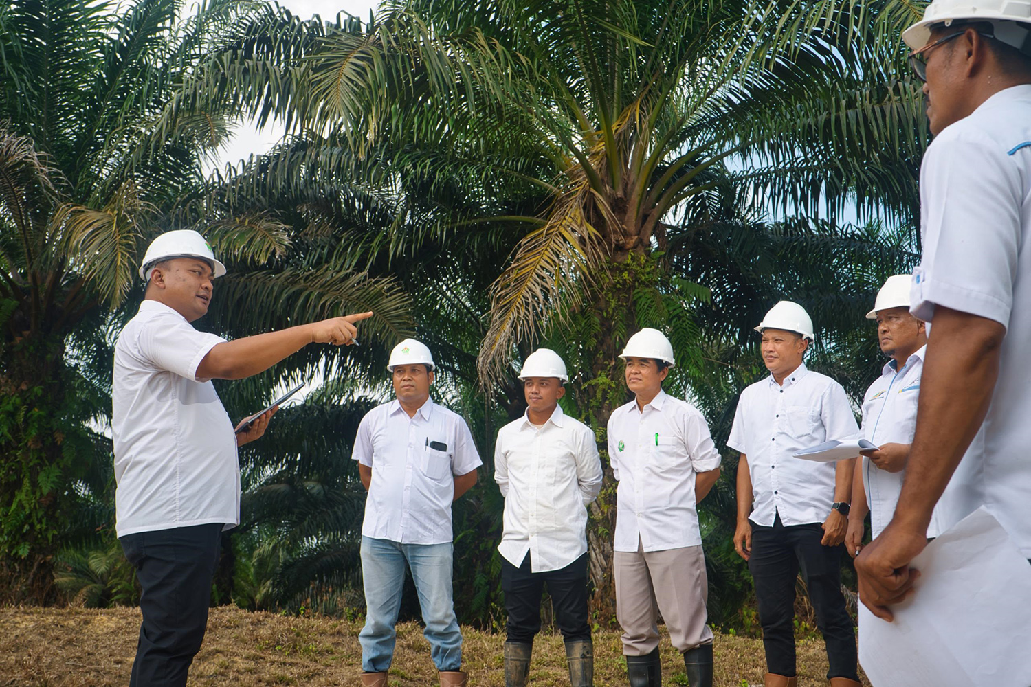 Manajemen PTPN I PalmCo menjelaskan soal produk minyak goreng, beberapa waktu lalu.