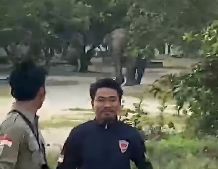 Warga berlarian saat kawanan gajah masuk kedalam komplek pemukiman, Ahad (22/2/2026) pagi. 